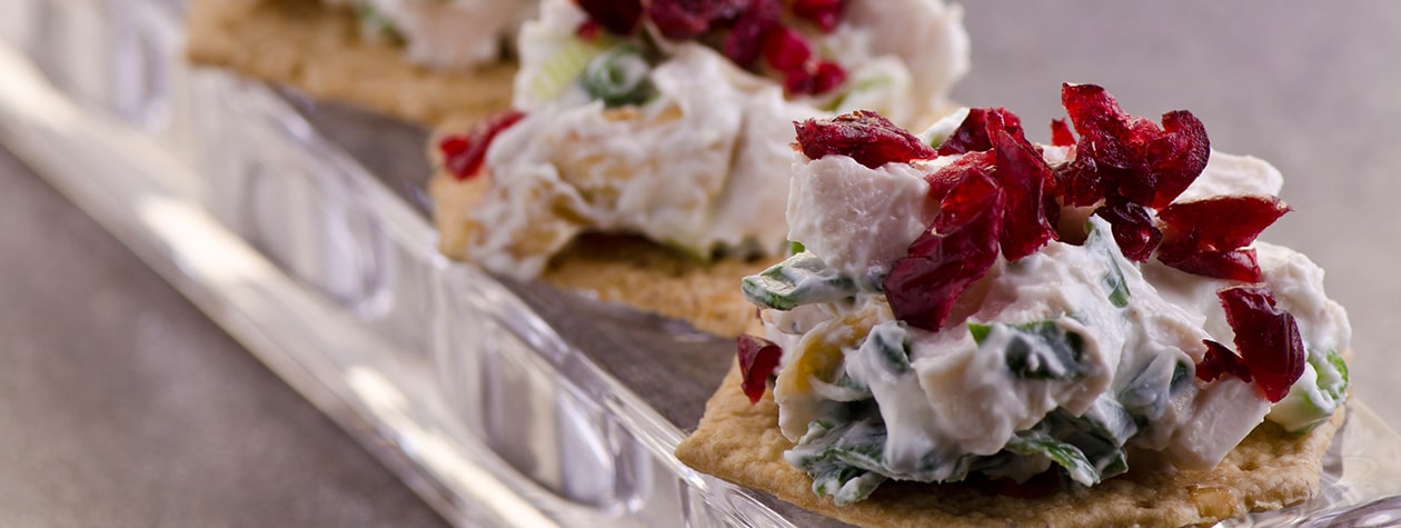 Frühlingszwiebel, Huhn und saurer Cranberry-Joghurt auf Crackern